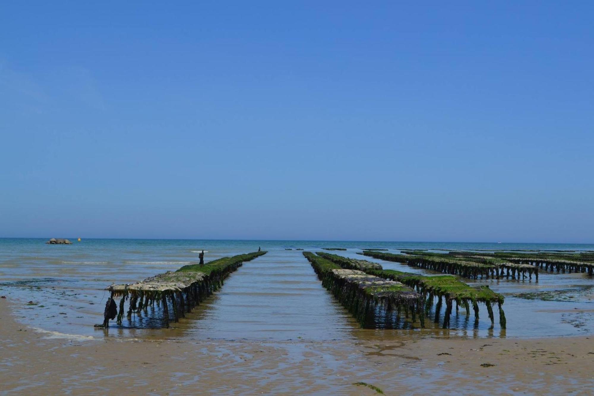 Nid De Pie Grand Duplex Lumineux Cadre Verdoyant Calme A 5 Mn De La Pres Port En Bessin, Bayeux, Omaha Beach, * Commes